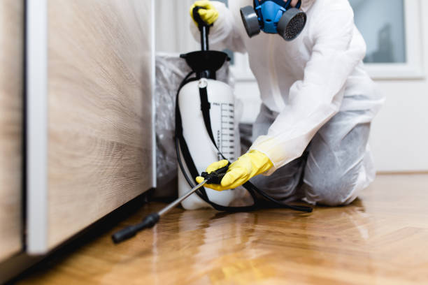 Best Pest Control Near Me  in Byers, CO