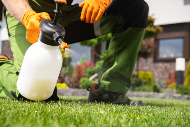 Best Pest Prevention Services  in Byers, CO