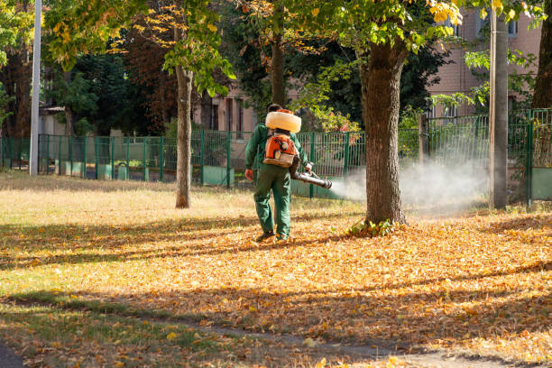 Best Affordable Pest Control Services  in Byers, CO